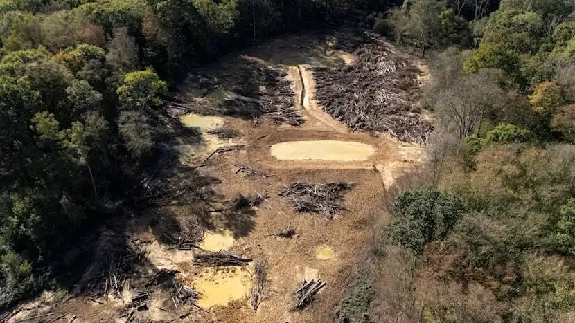 Nearly 39,500 tonnes of illegal waste cleared from Kent woodland