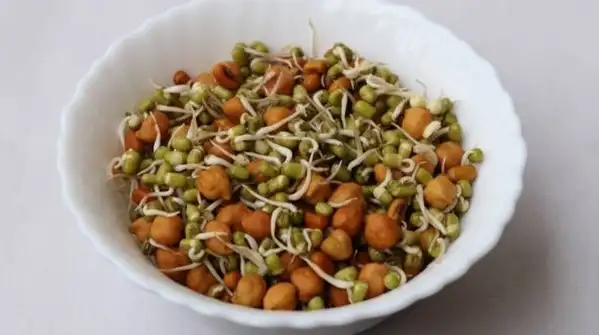Moong usually sprouts in 24 to 36 hours in winter, while chana can take 48 to 72