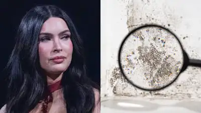 In 2016, Megan Fox bought a $3.3 million Malibu home, then sued for $5 million over alleged mold