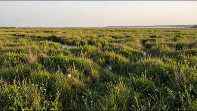 It records the initial response to lowered water levels, the later: The wider industry impact