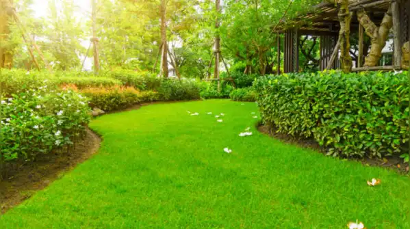 But people who talk to their plants are often doing more than watering and wishing them well