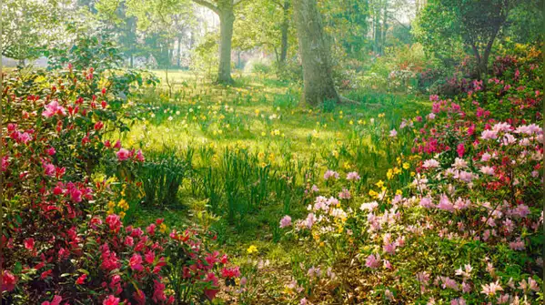 But people who talk to their plants are often doing more than watering and wishing them well