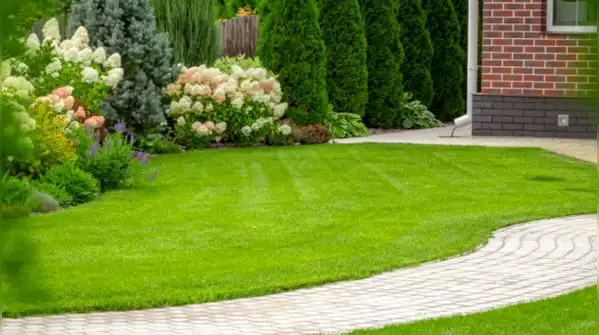 But people who talk to their plants are often doing more than watering and wishing them well