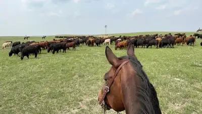 A Texas billionaire couple bought a 40,000-acre Nebraska ranch for $56 million; the property has