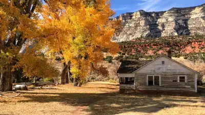 In 1910, Jack Chew was searching for a good home for both his family and his cattle