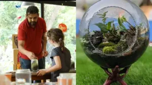 Her South Goa workshops include foraging for saplings and natural décor, followed