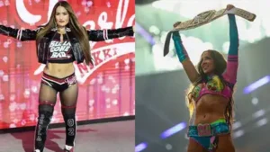 Chelsea Green and Nikki Bella have built impressive wealth on their own, according to sources
