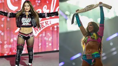 Chelsea Green and Nikki Bella have built impressive wealth on their own, according to sources