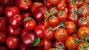 What's more nutrtitious? — Apples vs Tomatoes