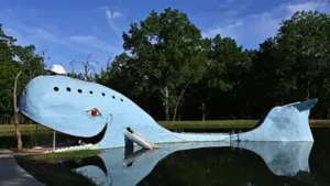 Beside a quiet pond in Oklahoma, an enormous blue whale rises from the grass, and travellers
