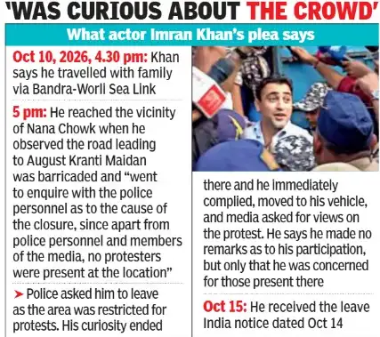 'Made scapegoat, was curious about crowd': What actor Imran Khan's plea argues