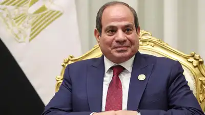 Sisi said Egypt would act in accordance with guidance from Saudi King Salman and Crown Prince