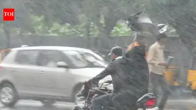 IMD predicts wet spell for Bengaluru over next 2 days: The wider industry impact