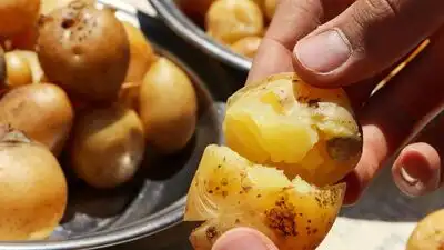 So, here we answer the question whether boiling potatoes before frying them improves taste