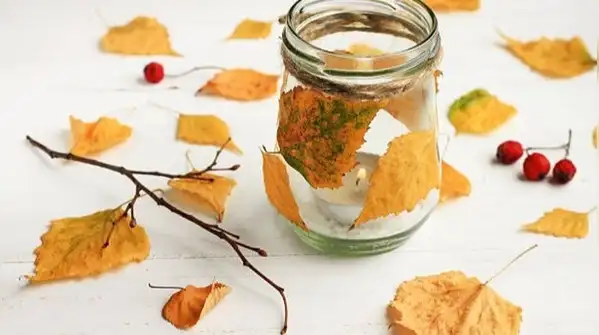 Whether it’s chinar leaves from Kashmir, peepal leaves from your neighbourhood or maple leaves