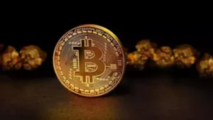 As crypto use has become more widespread, the global crypto fraud: The wider industry impact
