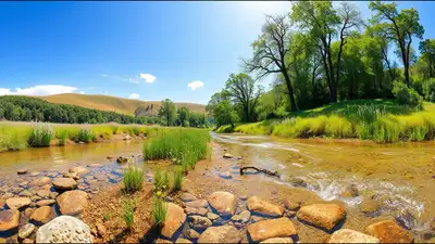 A radioactive material facility polluted an Illinois creek: The wider industry impact