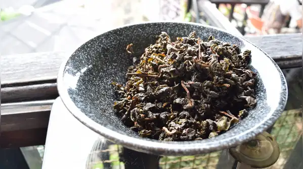 But have you ever thought about what exactly happens when these leaves are thrown away and how
