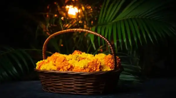Marigolds are the unofficial flower of Navratri, strung into torans, piled on the puja thali