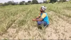 10% water cut in Maharashtra from Oct 16 — El Nino impact