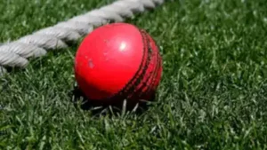 I believe, in a bilateral series, say, India playing Australia, it’s for them to agree among