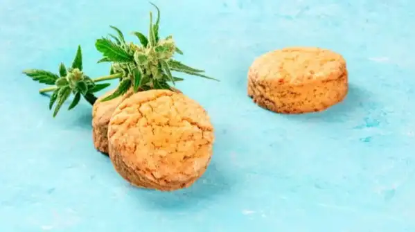 5 Easy healthy biscuit recipes you can make at home with simple ingredients
