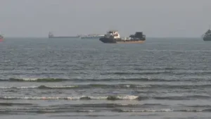 Two vessels, a container ship and a dry bulk carrier, sank near the Strait of Hormuz