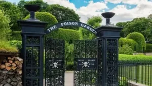 Tucked away next to Alnwick Castle in Northumberland, the Poison Garden sits behind black iron