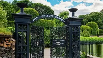 Tucked away next to Alnwick Castle in Northumberland, the Poison Garden sits behind black iron