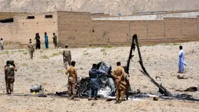 2 Pakistan army pilots killed (IANS photo)