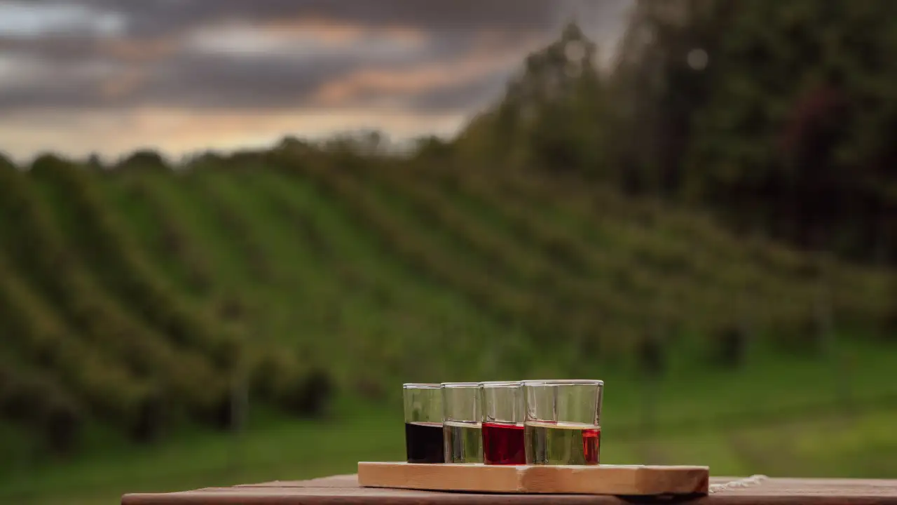 California winery founded in 1981 confronts possible liquidation after $12.7 million family feud