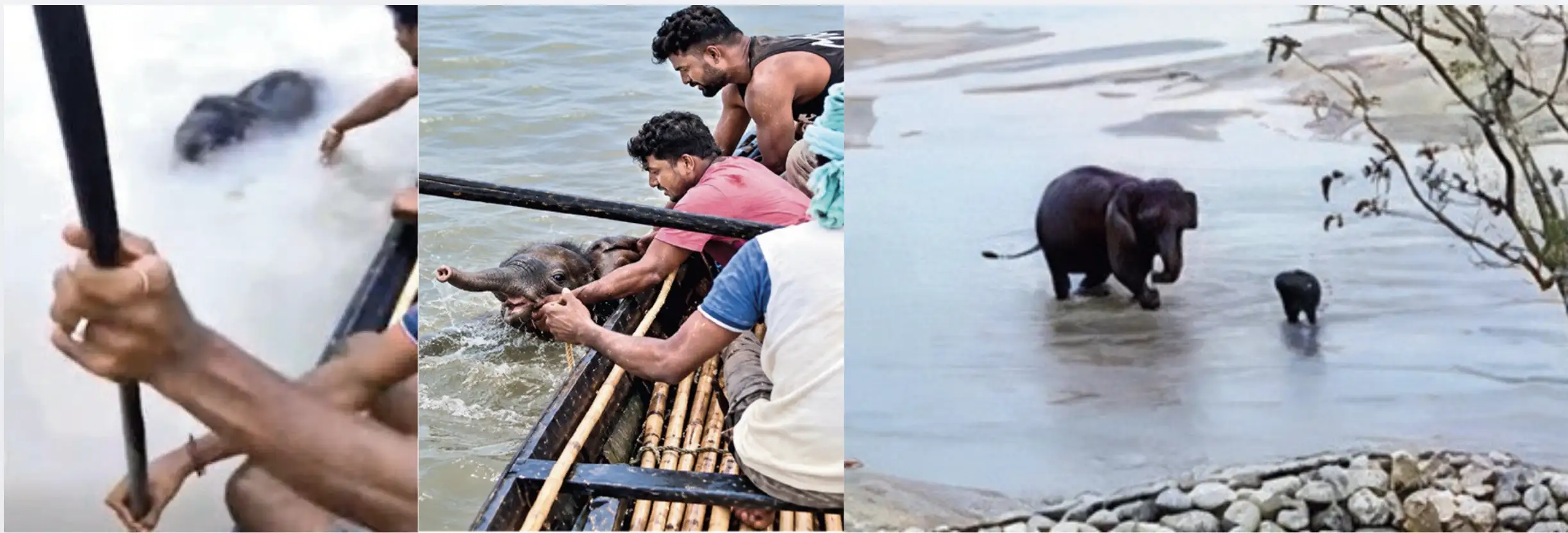 Thankfully, the five fisherfolk of Jalpaiguri are not like us: The wider industry impact