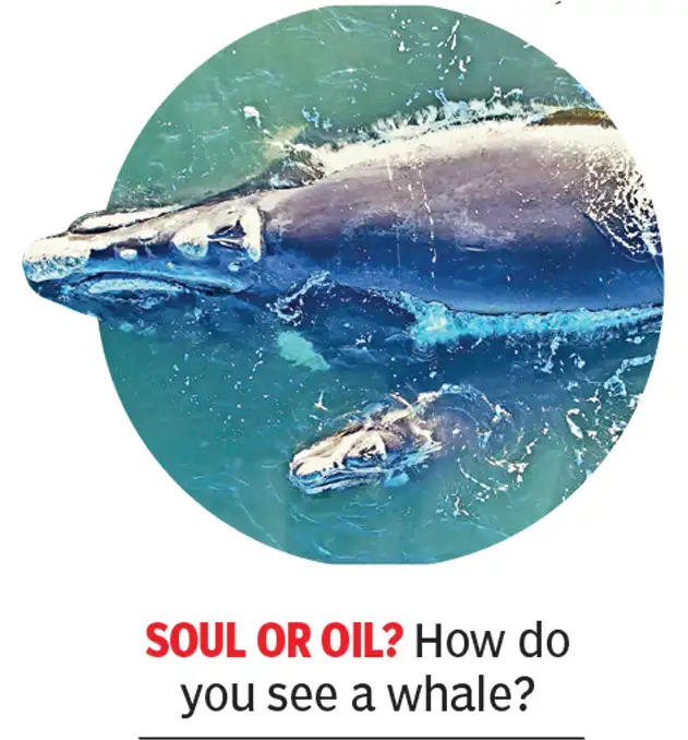 Thankfully, the five fisherfolk of Jalpaiguri are not like us: The wider industry impact