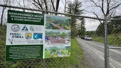 At the former Pine Grove Golf Course in Northampton, beavers moved: The wider industry impact