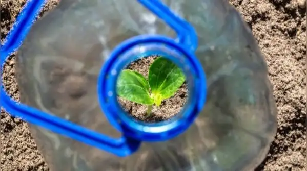 Most of us have a stash of empty plastic water bottles building up at home, and a balcony