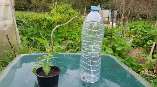 Most of us have a stash of empty plastic water bottles building up at home, and a balcony