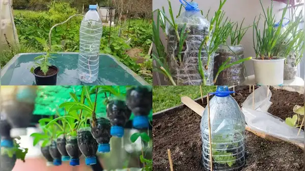 Most of us have a stash of empty plastic water bottles building up at home, and a balcony