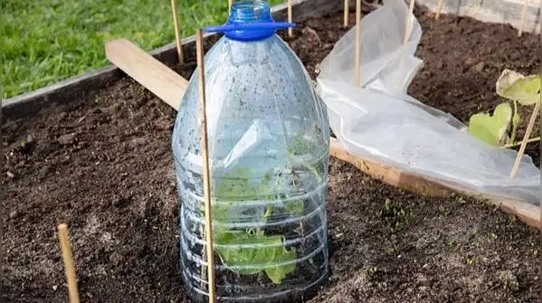 Most of us have a stash of empty plastic water bottles building up at home, and a balcony