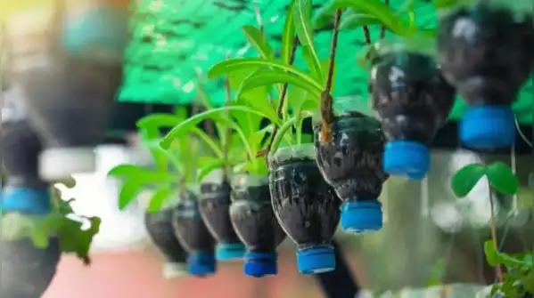 Most of us have a stash of empty plastic water bottles building up at home, and a balcony