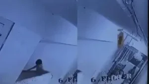 A Mumbai toddler was playing with a cat outside her 6th-floor home when her 10-year-old neighbour