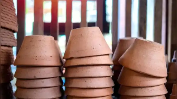 Whether you grow herbs on a balcony or succulents on a windowsill, here are five reasons clay