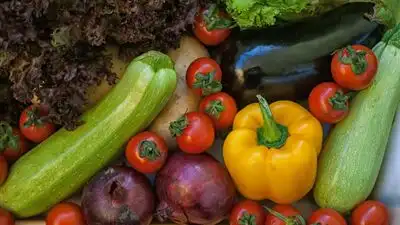 Do you also feel that, despite all your efforts, fresh produce like veggies, herbs, and leafy