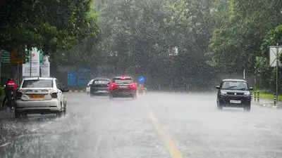 IMD weather alert for Tuesday Fairly widespread to widespread: The wider industry impact