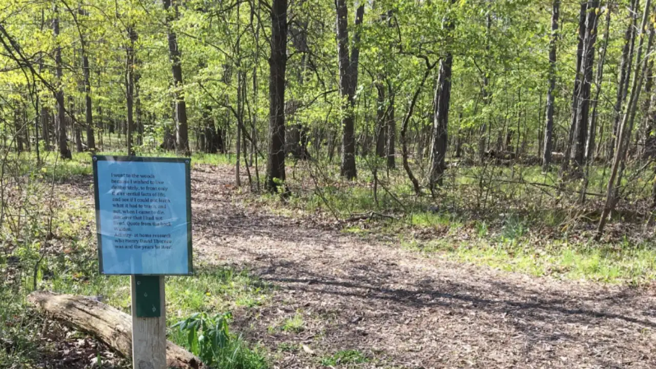 A family foundation began restoring 250 acres of overworked Ohio farmland in 1989; it is now