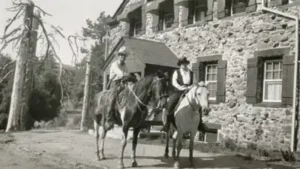 In 1971, retired teacher Margaret Minshall donated over 400 acres: The wider industry impact