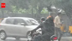 IMD forecasts heavy rain, thunderstorms in 8 states; Tamil Nadu: The wider industry impact