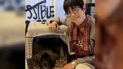 Warren had seen news footage of Wilbur running through West Hollywood and immediately wanted