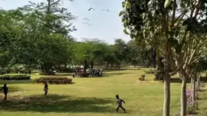 DDA to fortify parks with gunmen, CCTVs — Safety audit after Aastha Kunj gang-rape
