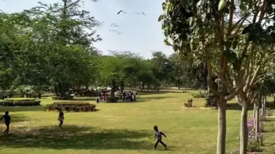 DDA to fortify parks with gunmen, CCTVs — Safety audit after Aastha Kunj gang-rape