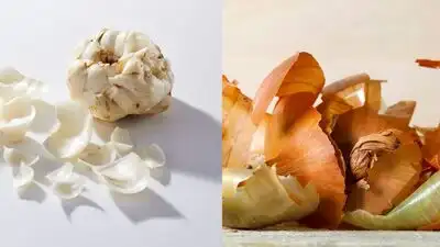 Here’s how you can reuse onion and garlic peels in several interesting ways